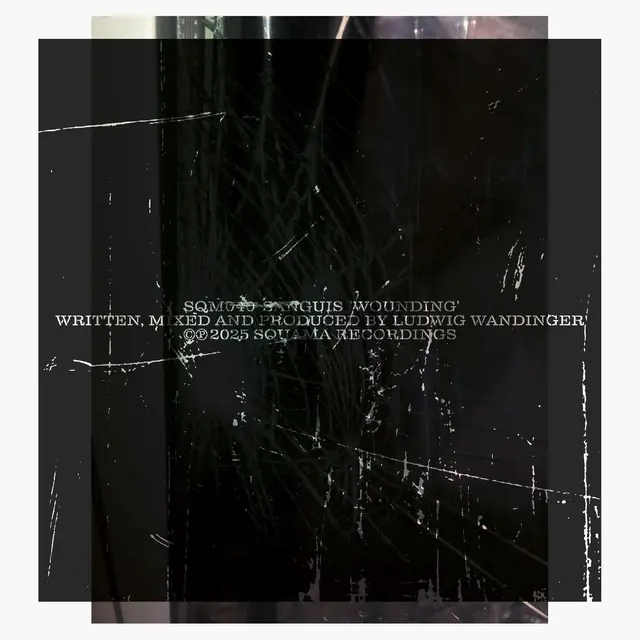 Sanguis Wounding (LP) 