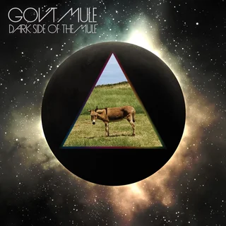 Gov't Mule Dark Side Of The Mule (3CD+DVD)