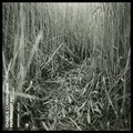 Charlie Cunningham Permanent Way (CD)