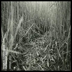 Charlie Cunningham Permanent Way (CD)