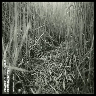 Charlie Cunningham Permanent Way (CD)
