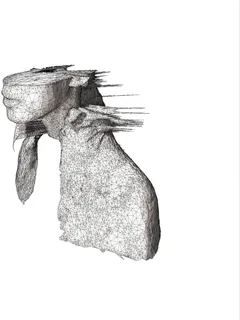 Coldplay A Rush of Blood to the Head (CD)