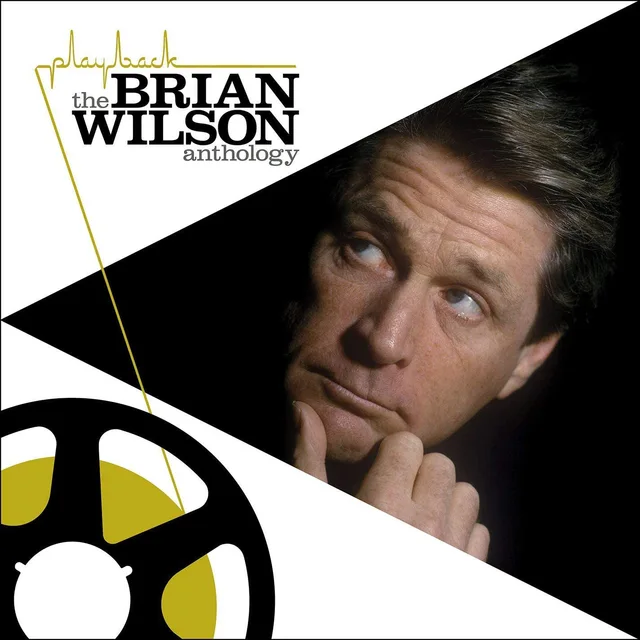 Brian Wilson Playback: The Brian Wilson… (CD) 