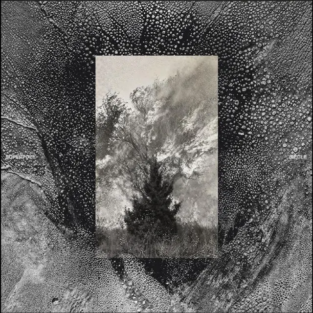 Superpoze Siècle (LP) 