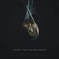Trivium What The Dead Men Say (CD)