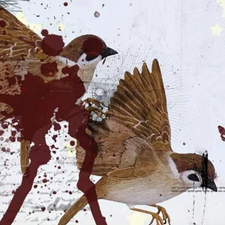 Bring Me The Horizon This Is What The Edge Of Your Seat… (CD)