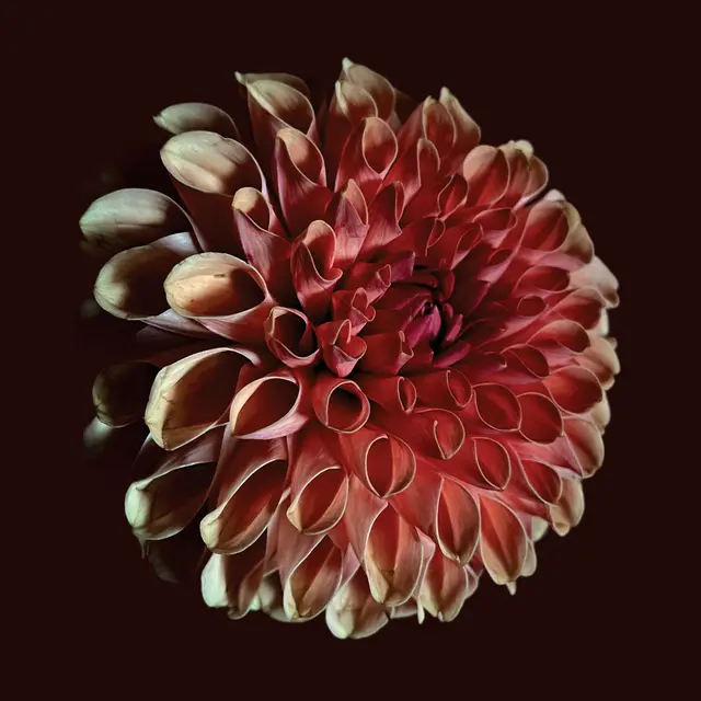 Jessica Moss Unfolding (LP) 