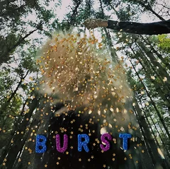 Snarls Burst (LP)