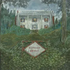 Weirs Diamond Grove (LP)