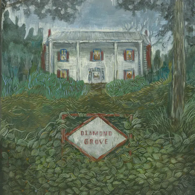 Weirs Diamond Grove (LP) 