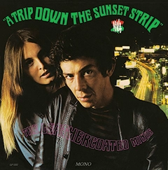 The Leathercoated Minds A Trip Down the Sunset (LP)