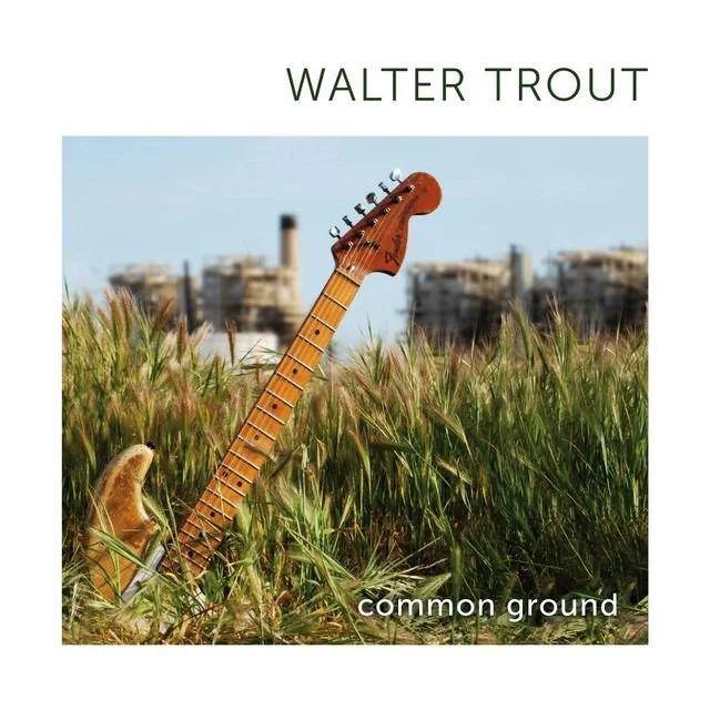 Walter Trout Common Ground (CD) 