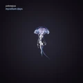 Yobrepus Mycelium Days (LP)