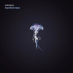 Yobrepus Mycelium Days (LP)