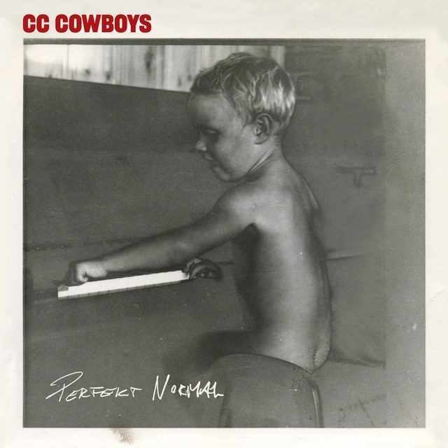 CC Cowboys Perfekt Normal - LTD (LP) 