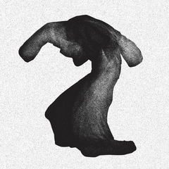 Yeasayer Fragrant World (LP+CD)
