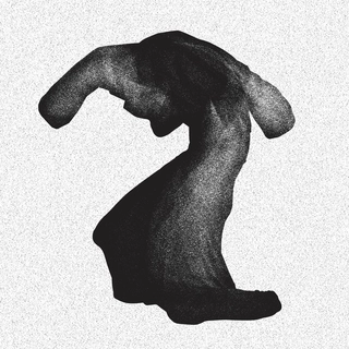 Yeasayer Fragrant World (LP+CD)