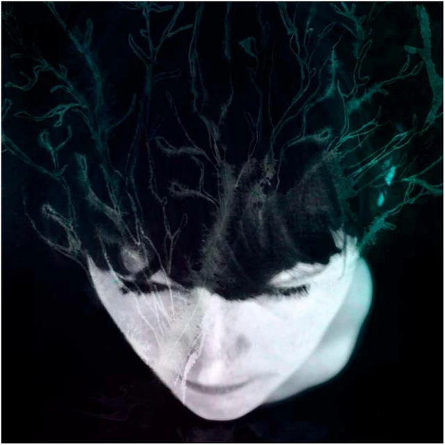Hanne Kolstø While We Still Have Light (LP+CD) 