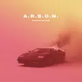 Story Of The Year A.R.S.O.N. - LTD (LP)
