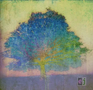 Eric Johnson EJ (CD)