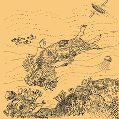 Needlepoint The Diary Of Robert Reverie (CD)