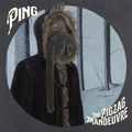 Ping Zig Zag Manoeuvre (LP)