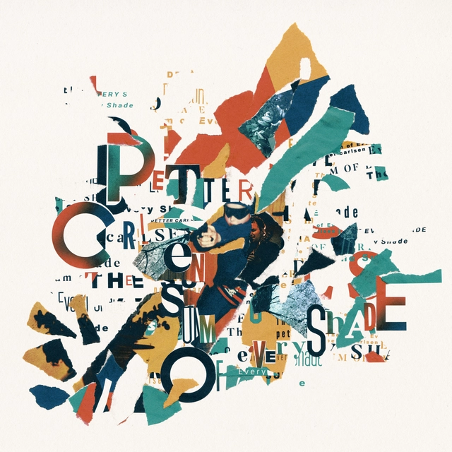 Petter Carlsen The Sum Of Every Shade - LTD (LP) 