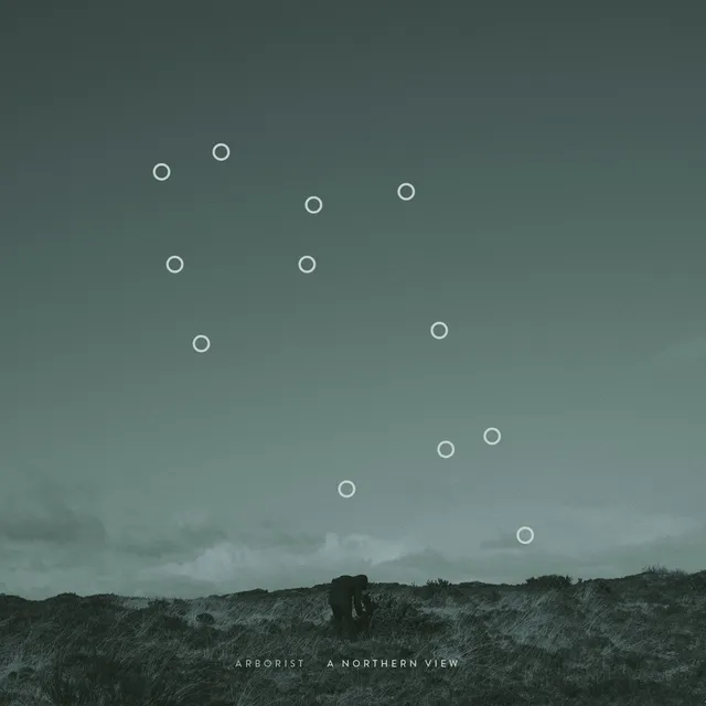 Arborist A Northern View (LP) 