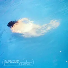 The Districts You Know I'm Not Going Anywhere (LP)