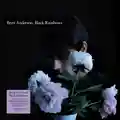 Brett Anderson Black Rainbows (LP)