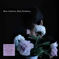Brett Anderson Black Rainbows (LP)