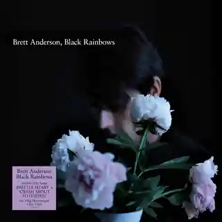 Brett Anderson Black Rainbows (LP)