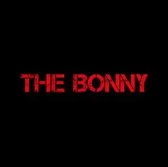 Gerry Cinnamon The Bonny - LTD (LP)