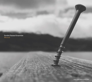 Sondre Ferstad Ensemble Minimal (LP)
