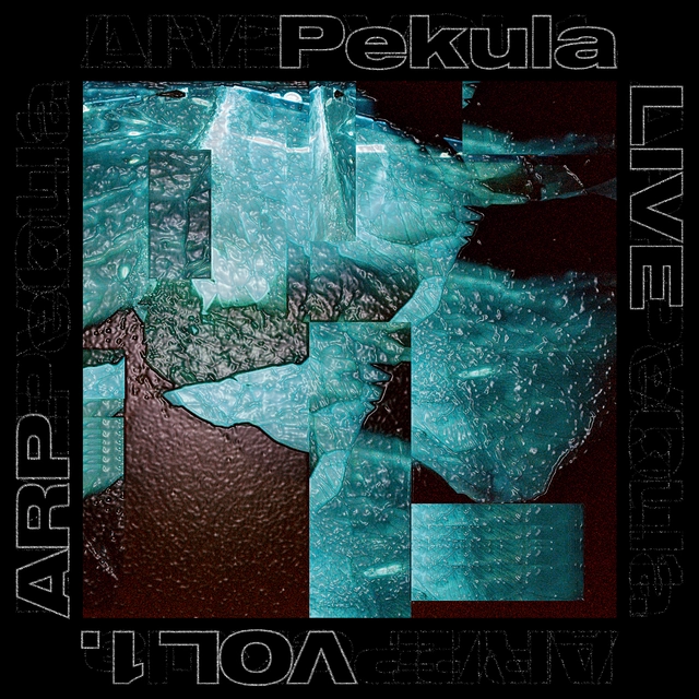 Pekula Vol. 1 - ARP (LP) 