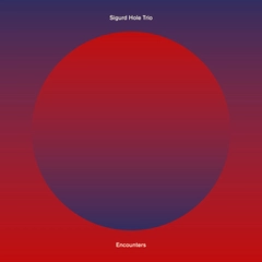 Hole Trio Encounters (LP)
