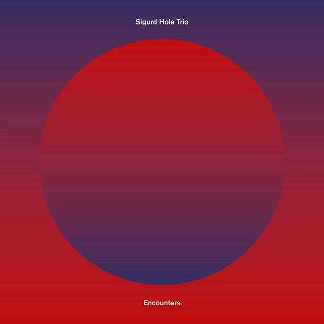 Hole Trio Encounters (LP) 