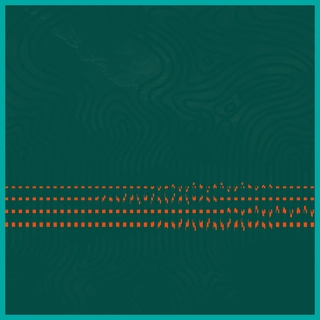 Mattis Kleppen &amp; Resjemheia Bassgitar (LP)