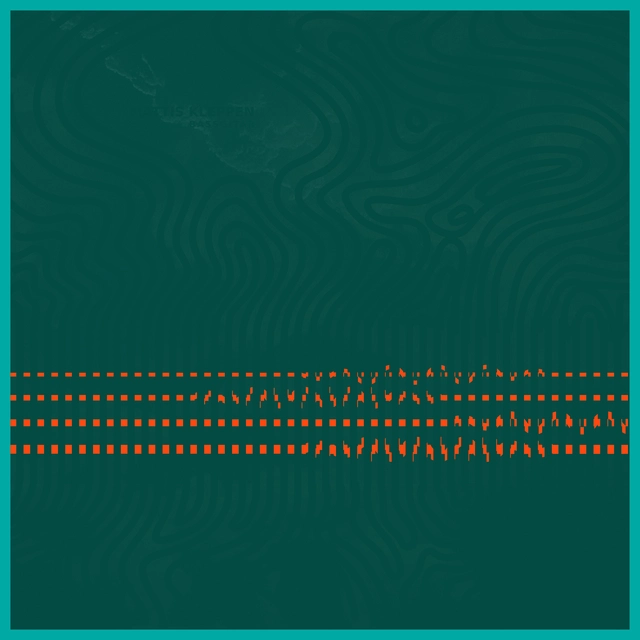 Mattis Kleppen & Resjemheia Bassgitar (LP) 