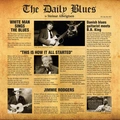 Steinar Albrigtsen The Daily Blues (LP-LTD)