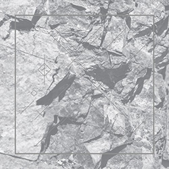 Ricardo Donoso Deterrence (LP)