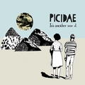 Picidae Its another Wor d (LP)