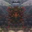 Morudes Sinister Beat (LP)