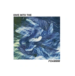 FOAMMM Dive Into The Foammm (12'')