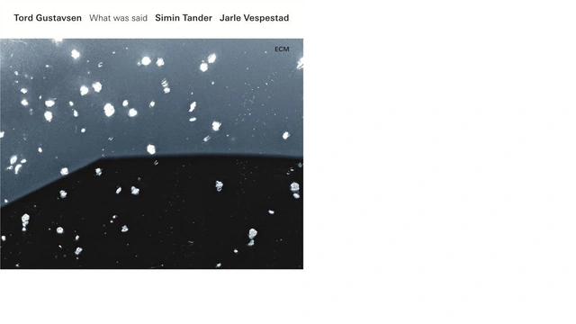 Tord Gustavsen / Tander / Vespestad What Was Said (2LP) 