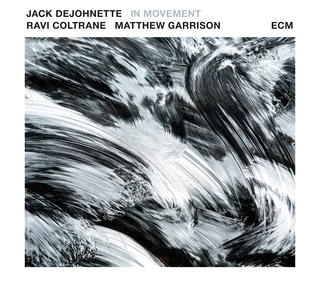 DeJohnette / Coltrane / Garrison In Movement (2LP)