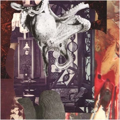 Signal Echoes EP (12'')