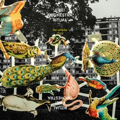 Fire! Orchestra Ritual (2LP)