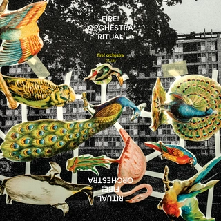 Fire! Orchestra Ritual (2LP)