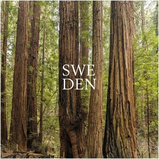 Sweden Sea Change (7'')